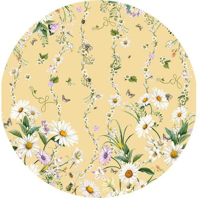 DAISY CHAINS