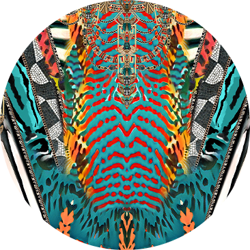 DESERT VISIONS