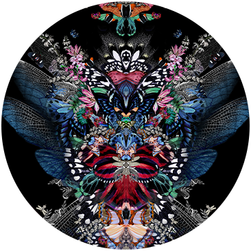 FLUTTER BY