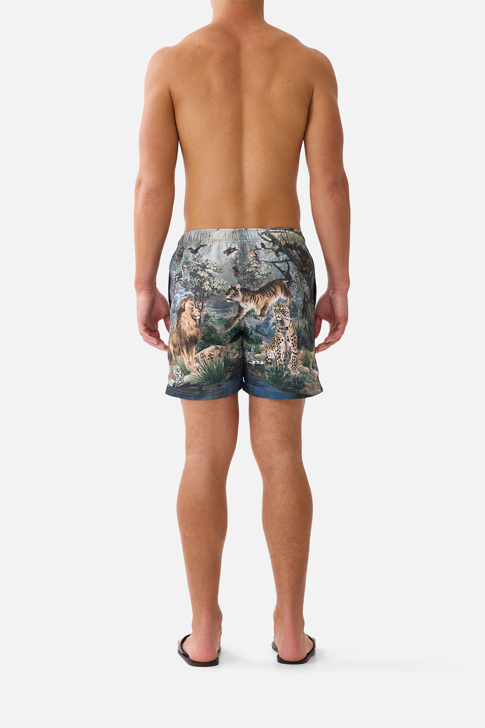 The CAMILLA MID LENGTH BOARDSHORT WITH ELASTIC WAIST ANIMALS IN THE PALACE