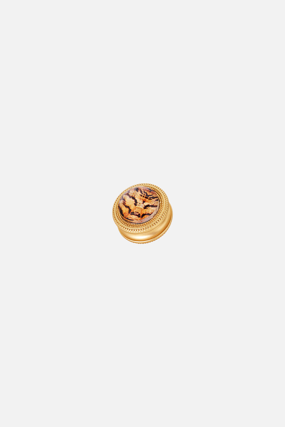 GOLD CLOTHING MAGNETS CASE OF CURIOSITIES